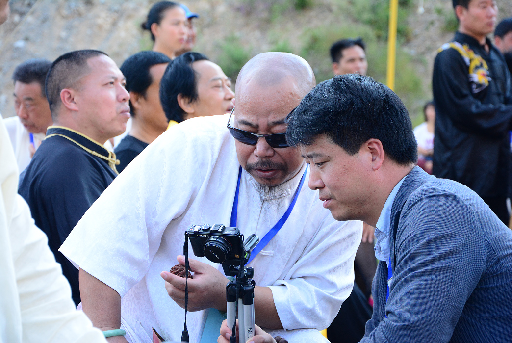 【图片新闻】“2015武林大会”场外交流