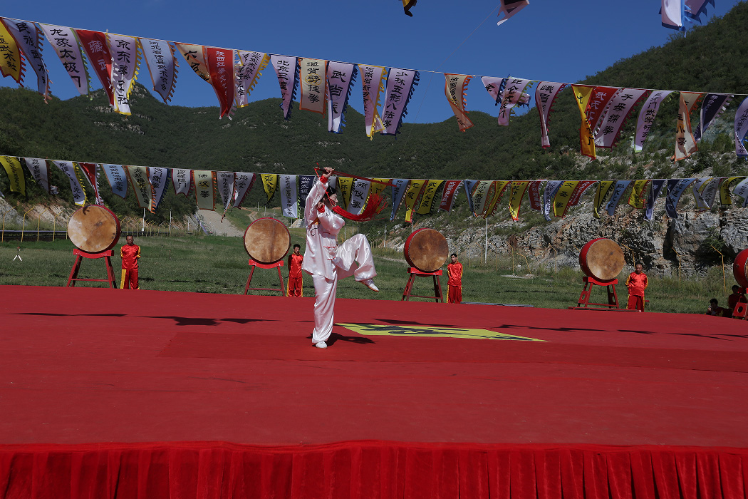 【图片新闻】“2015武林大会”功夫展示