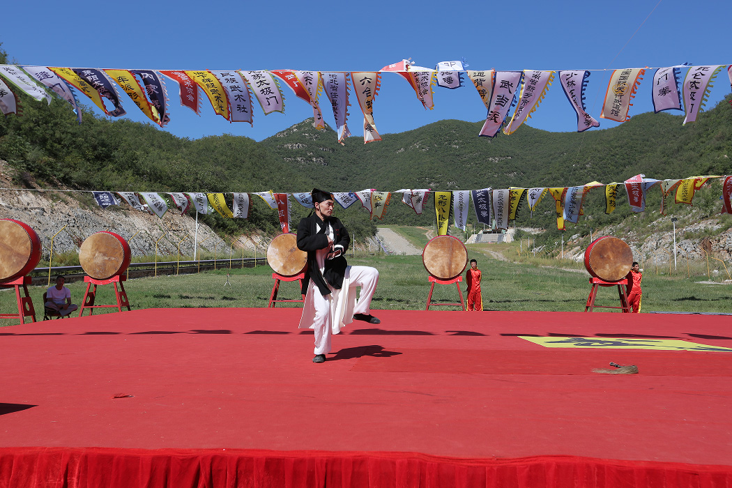 【图片新闻】“2015武林大会”功夫展示