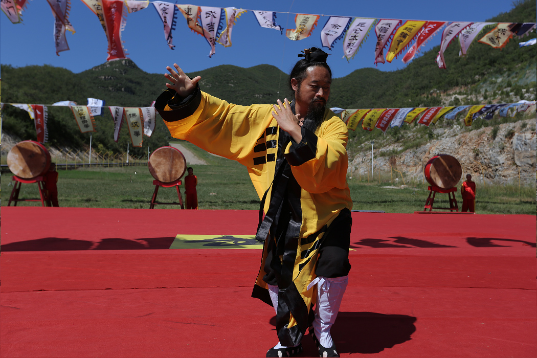 【图片新闻】“2015武林大会”功夫展示