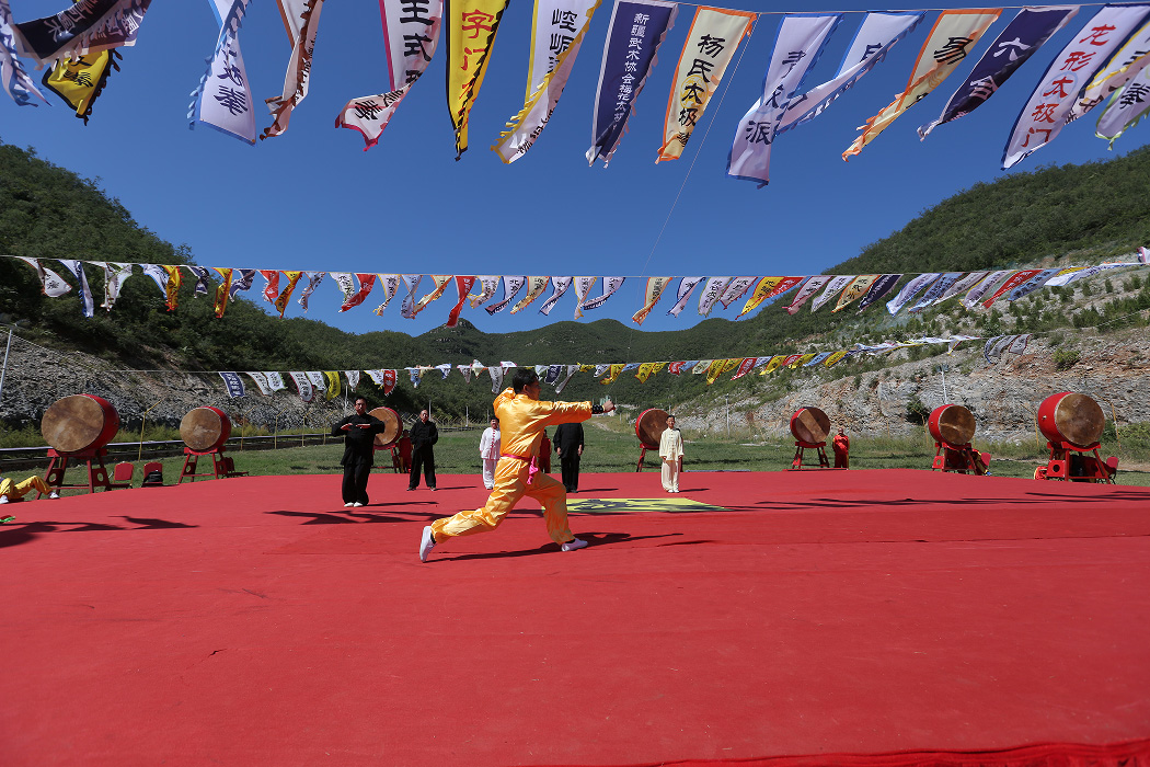 【图片新闻】“2015武林大会”功夫展示